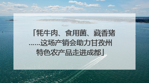 牦牛肉、食用菌、藏香猪……这场产销会助力甘孜州特色农产品走进成都