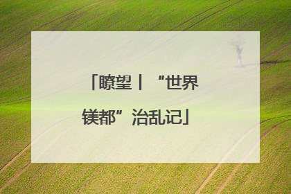瞭望丨“世界镁都”治乱记