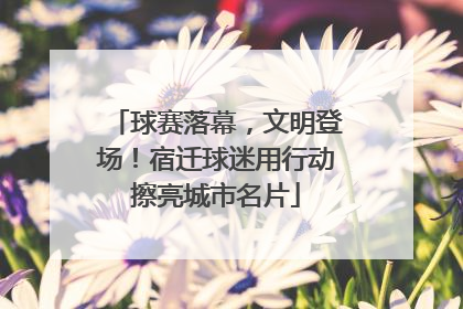 球赛落幕，文明登场！宿迁球迷用行动擦亮城市名片