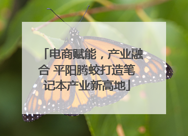 电商赋能，产业融合 平阳腾蛟打造笔记本产业新高地