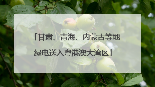 甘肃、青海、内蒙古等地绿电送入粤港澳大湾区
