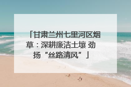 甘肃兰州七里河区烟草：深耕廉洁土壤 劲扬“丝路清风”