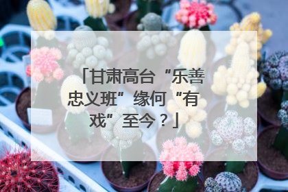 甘肃高台“乐善忠义班”缘何“有戏”至今？