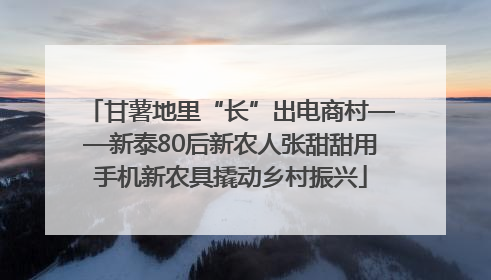 甘薯地里“长”出电商村——新泰80后新农人张甜甜用手机新农具撬动乡村振兴