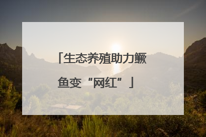 生态养殖助力鳜鱼变“网红”