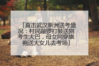 直击武汉新洲送考盛况：村民敲锣打鼓送别考生大巴，母女同穿旗袍送大女儿去考场