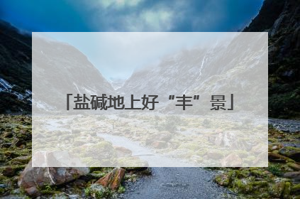 盐碱地上好“丰”景
