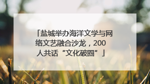 盐城举办海洋文学与网络文艺融合沙龙，200人共话“文化破圈”
