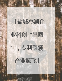 盐城亭湖企业科创“出圈”，专利引领产业腾飞