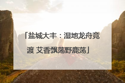 盐城大丰：湿地龙舟竞渡 艾香飘荡野鹿荡