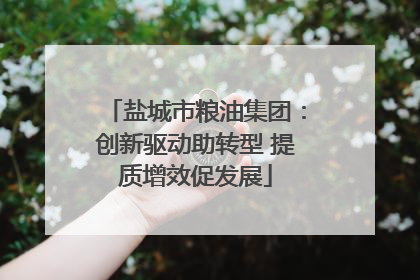 盐城市粮油集团：创新驱动助转型 提质增效促发展