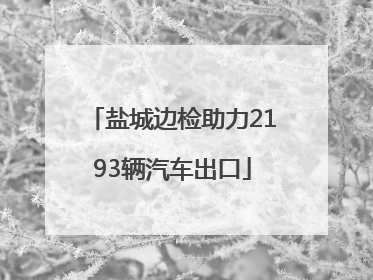 盐城边检助力2193辆汽车出口