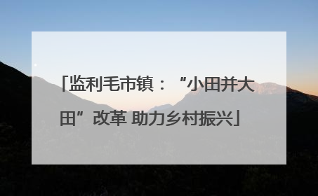 监利毛市镇：“小田并大田”改革 助力乡村振兴