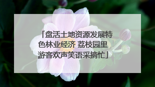盘活土地资源发展特色林业经济 荔枝园里游客欢声笑语采摘忙