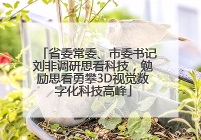 省委常委、市委书记刘非调研思看科技，勉励思看勇攀3D视觉数字化科技高峰