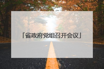 省政府党组召开会议