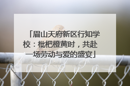眉山天府新区行知学校：枇杷橙黄时，共赴一场劳动与爱的盛宴