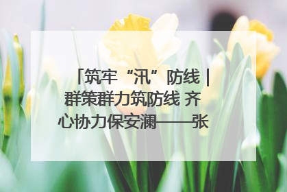 筑牢“汛”防线｜群策群力筑防线 齐心协力保安澜——张家界高新区上下众志成城迎战汛情
