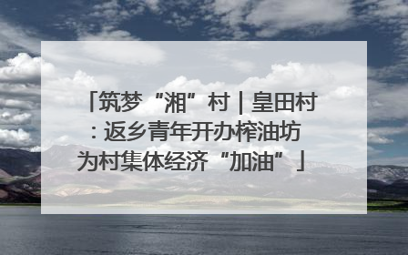 筑梦“湘”村｜皇田村：返乡青年开办榨油坊 为村集体经济“加油”