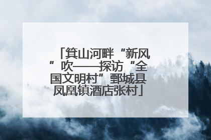 箕山河畔“新风”吹——探访“全国文明村”鄄城县凤凰镇酒店张村