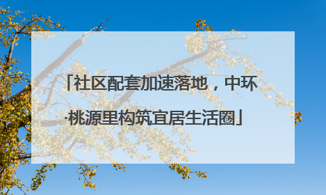 社区配套加速落地，中环·桃源里构筑宜居生活圈