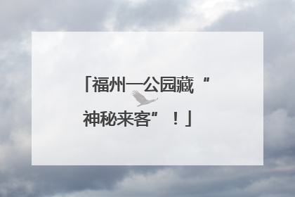 福州一公园藏“神秘来客”！