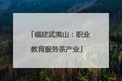 福建武夷山：职业教育服务茶产业