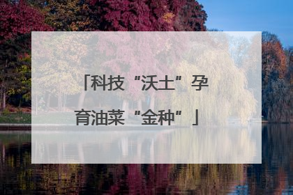 科技“沃土”孕育油菜“金种”