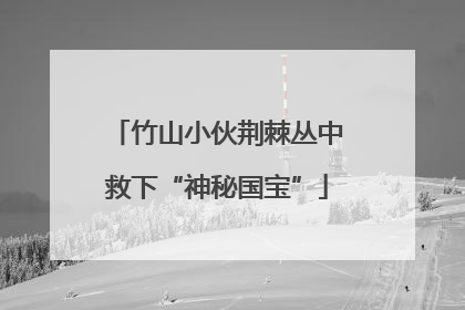 竹山小伙荆棘丛中救下“神秘国宝”