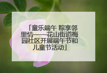 童乐端午 粽享邻里情——花山街道梅园社区开展端午节和儿童节活动