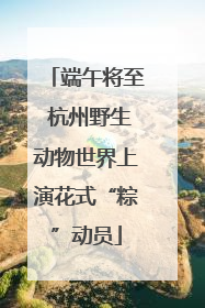 端午将至 杭州野生动物世界上演花式“粽”动员