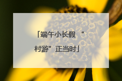 端午小长假 “村游”正当时