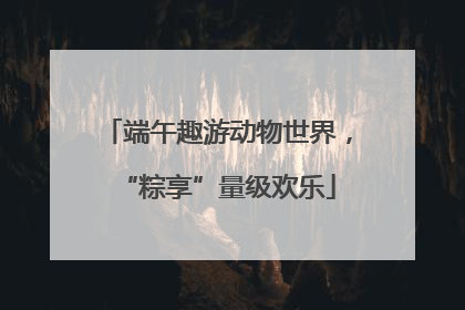 端午趣游动物世界，“粽享”量级欢乐