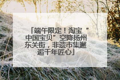 端午限定！淘宝“中国宝贝”空降扬州东关街，非遗市集邂逅千年匠心
