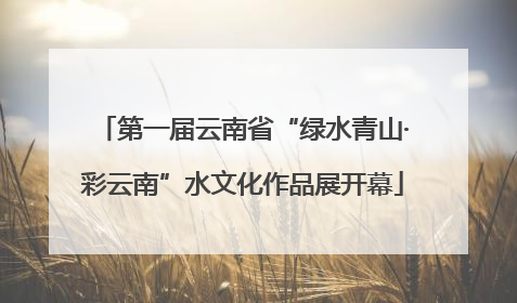 第一届云南省“绿水青山·彩云南”水文化作品展开幕