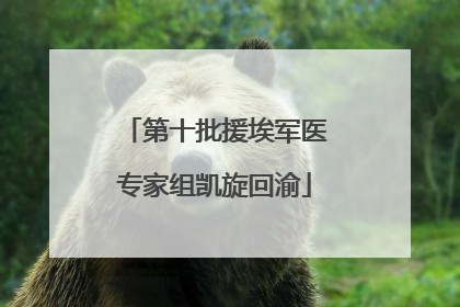 第十批援埃军医专家组凯旋回渝