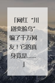 网红“川剧变脸鸟”骗了千万网友！它的真身竟是……