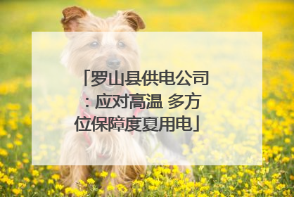 罗山县供电公司：应对高温 多方位保障度夏用电