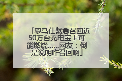 罗马仕紧急召回近50万台充电宝！可能燃烧……网友：倒是说明咋召回啊