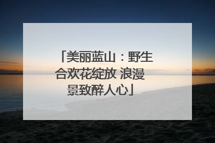 美丽蓝山：野生合欢花绽放 浪漫景致醉人心