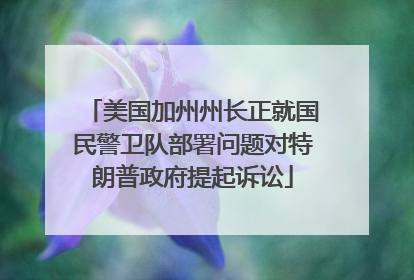 美国加州州长正就国民警卫队部署问题对特朗普政府提起诉讼