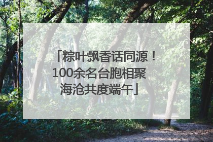 粽叶飘香话同源！100余名台胞相聚海沧共度端午