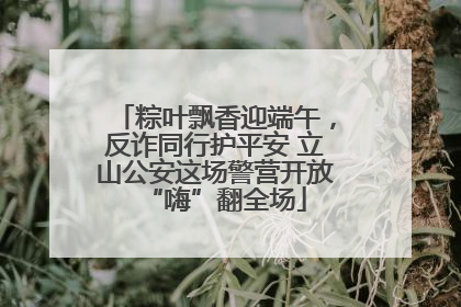 粽叶飘香迎端午，反诈同行护平安 立山公安这场警营开放“嗨”翻全场