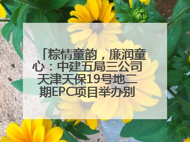 粽情童韵，廉润童心：中建五局三公司天津天保19号地二期EPC项目举办别样双节活动