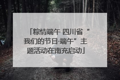 粽情端午 四川省“我们的节日·端午”主题活动在南充启动