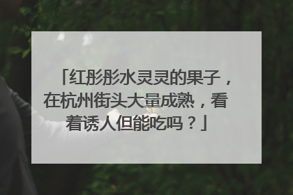 红彤彤水灵灵的果子，在杭州街头大量成熟，看着诱人但能吃吗？