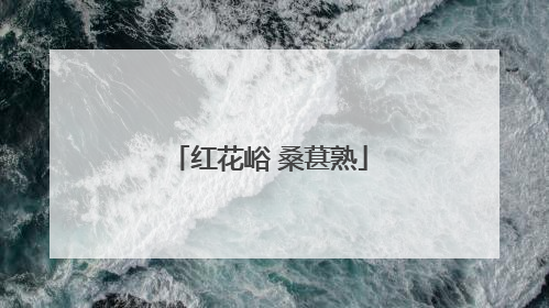 红花峪 桑葚熟