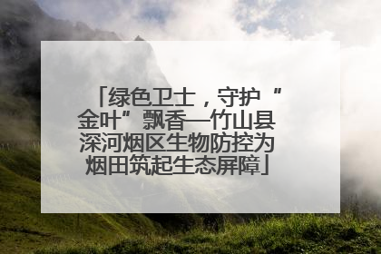 绿色卫士，守护“金叶”飘香—竹山县深河烟区生物防控为烟田筑起生态屏障
