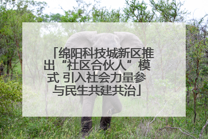 绵阳科技城新区推出“社区合伙人”模式 引入社会力量参与民生共建共治