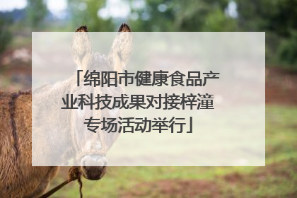 绵阳市健康食品产业科技成果对接梓潼专场活动举行